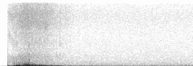 Chouette rayée - ML613075224