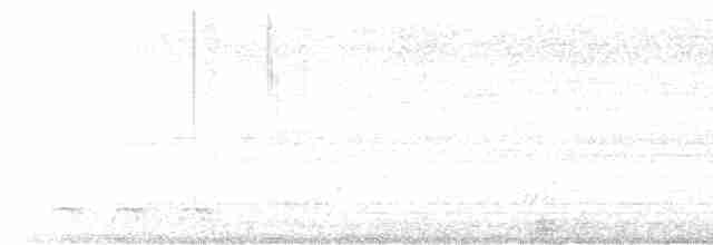 trogon podvazkový - ML613075266