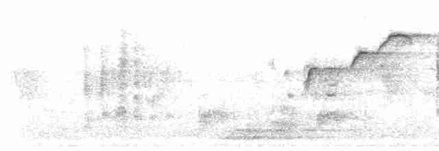 Spotless Starling - ML613075568