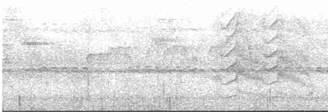 Kara Giysili Karıncakuşu - ML613075626