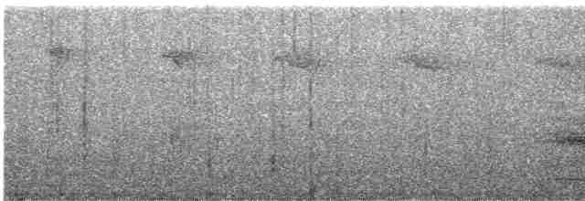 Гребенечуб андійський - ML613078024