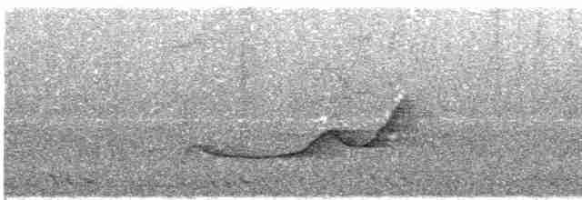 Чагарниця плямистоплеча - ML613081576