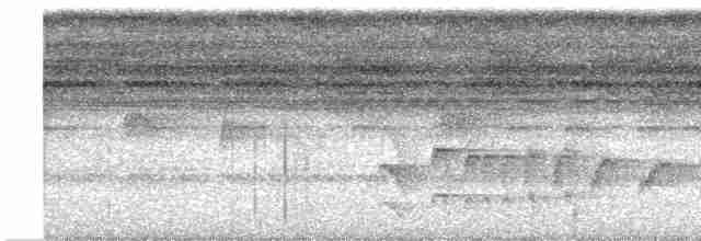 Тиран-плоскодзьоб темнохвостий - ML613082297