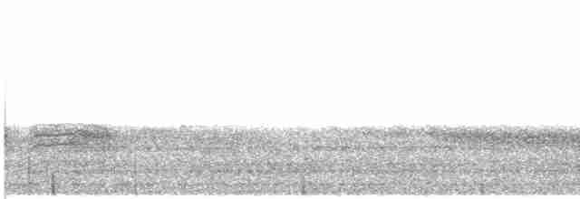 Гаїчка-пухляк звичайна [група montanus] - ML613084031