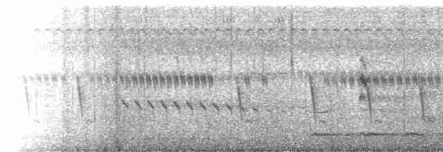 灰胸秧雞 - ML613084485
