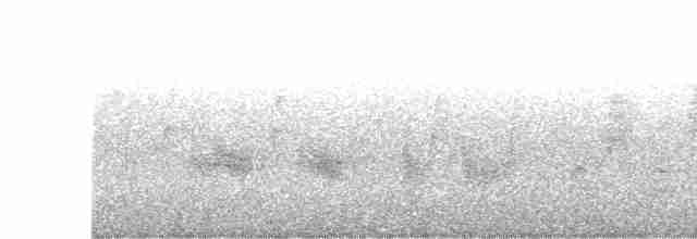 Пронурок біловолий - ML613084743