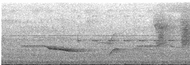 Серошапочный сорокопутовый виреон - ML613091713