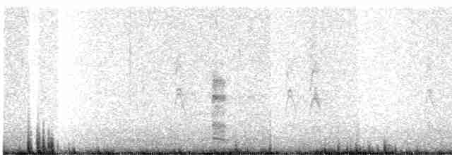 Ring-necked Pheasant - ML613093152
