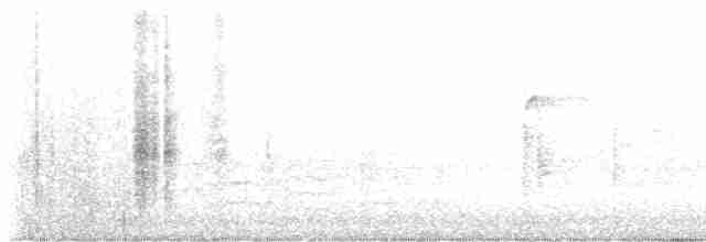 strakapoud americký [skupina harrisi] - ML613095503