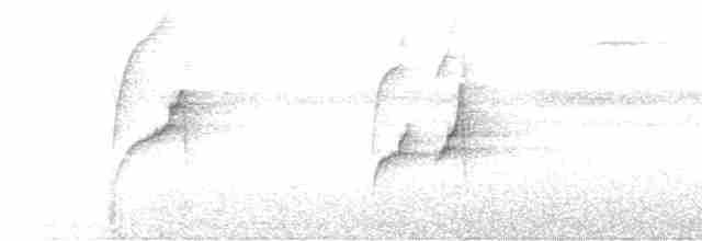 Weißbrauen-Dickichtschlüpfer - ML613096754