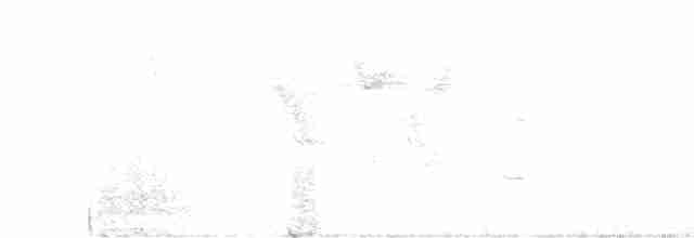 Grauflanken-Ameisenpitta - ML613096804