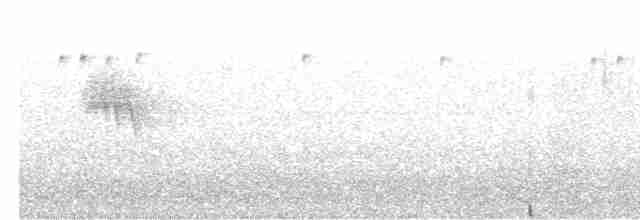 Тиранчик-довгохвіст білогорлий - ML613099365