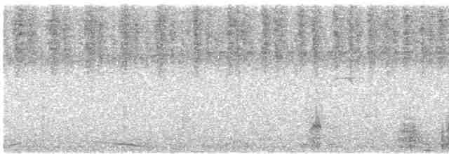 Глазчатая чачалака (remota) - ML613099443
