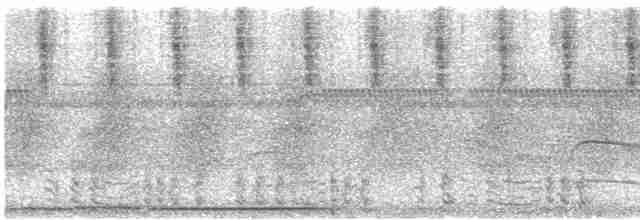 čačalaka kropenatá (ssp. remota) - ML613099539