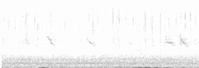 Кіпаль жовтобровий - ML613102812