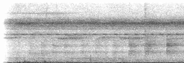 gråvingetrompetfugl (napensis) - ML613103759