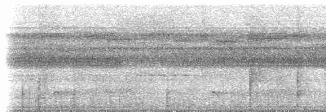 Tinamou à gorge blanche - ML613103847