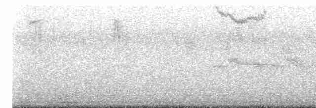 Chilespottdrossel - ML613106368