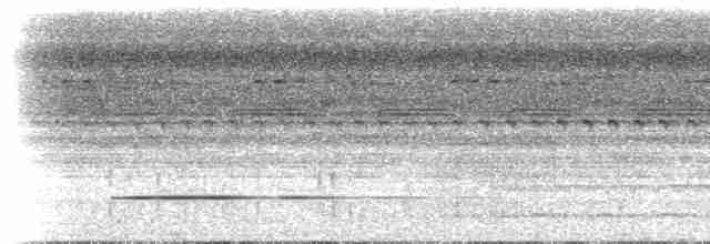 Bändernachtschwalbe (nattereri) - ML613106875