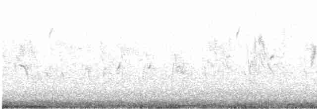 Шишкар ялиновий - ML613108299