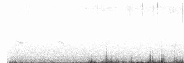 クロハラアジサシ - ML613109620