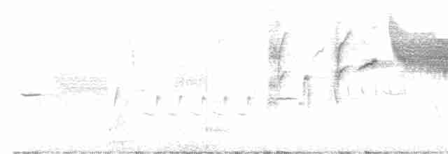 Bewick Çıtkuşu - ML613110112