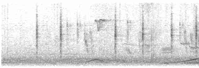Кобилочка плямиста - ML613111695