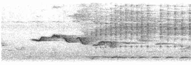 矛斑蝗鶯 - ML613111702