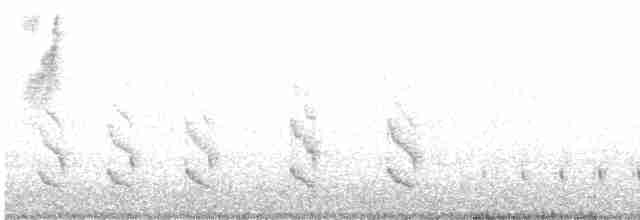 Sooretama Slaty-Antshrike - ML613118985