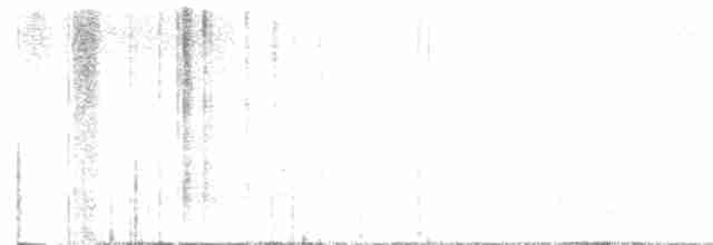 שחפית שחורת-אוזן - ML613119212