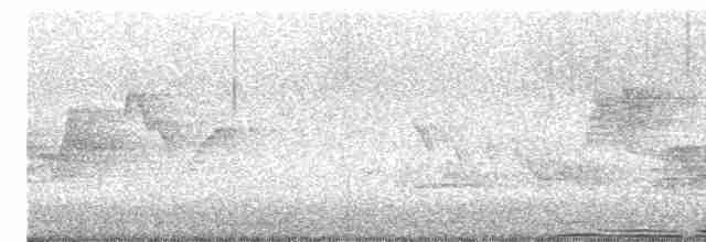 Black-throated Green Warbler - ML613119603