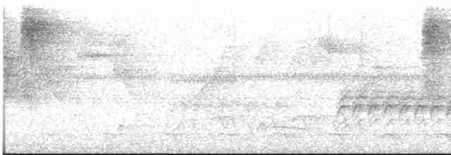 Eufonia Violácea - ML613120782