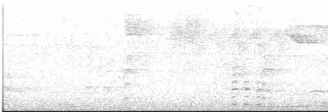 Plush-crested Jay - ML613120935