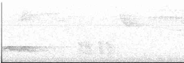 Желтобровый дятел - ML613120993