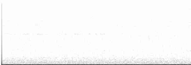 Каштановый скрытохвост - ML613121006