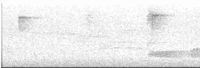 Скрытохвост татаупа - ML613121008