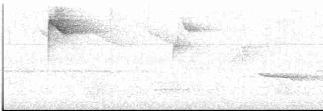 Дятел-смугань жовтобровий - ML613121131