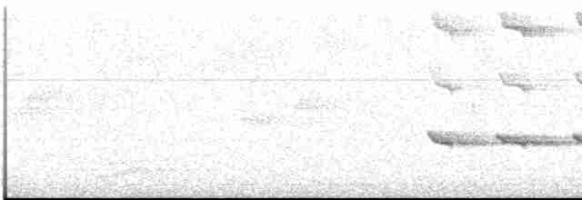 Дятел-смугань жовтобровий - ML613121301