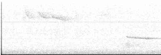 Желтобровый дятел - ML613121302