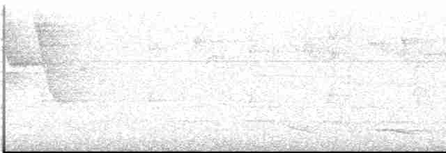 Atlantik Kara Gerdanlı Trogonu - ML613121311