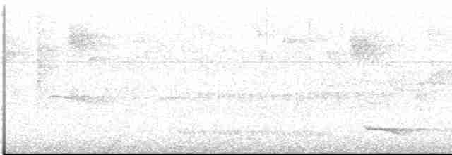 Atlantik Kara Gerdanlı Trogonu - ML613121312