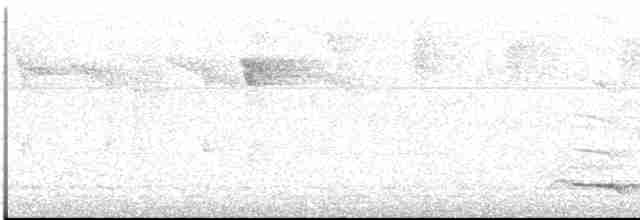 Atlantik Kara Gerdanlı Trogonu - ML613121313