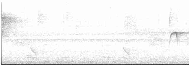 Тиранець сірий - ML613121448