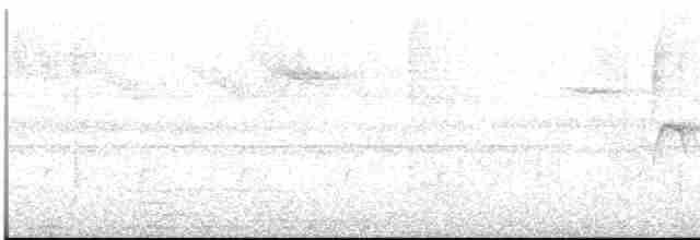 Gri Başlı Elenya - ML613121449