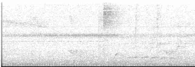 Шлемоносный дятел-гренадер - ML613121461