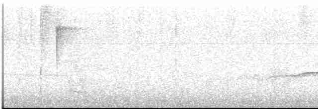 Длиннохвостая батара - ML613121639