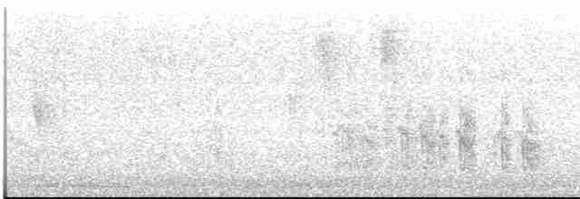 Pul Başlı Papağan - ML613121644