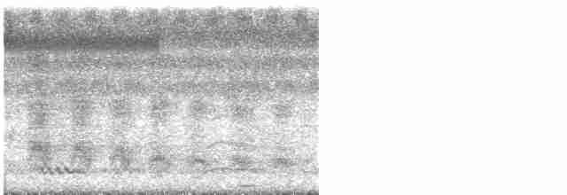 Аистоклювый гуриал - ML613122134