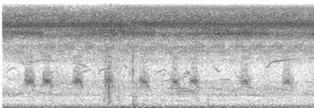 Аистоклювый гуриал - ML613122135