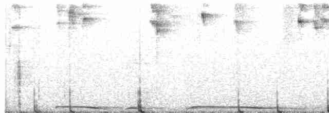 holub šedobřichý - ML613123076